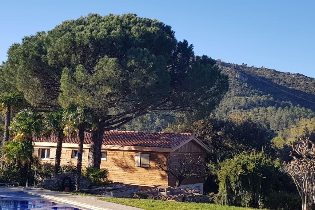 A L'Ombre Du Chene Gites Eden En Cevennes Anduze Bagian luar foto